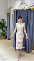 Zafrina Orient Dress