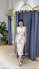 Zafrina Orient Dress